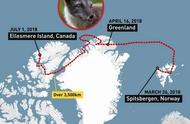 小北极狐的7000里大冒险：目标何在？