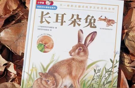 小学生的奇妙探索：小兔子的眼睛和耳朵都是红色的吗？